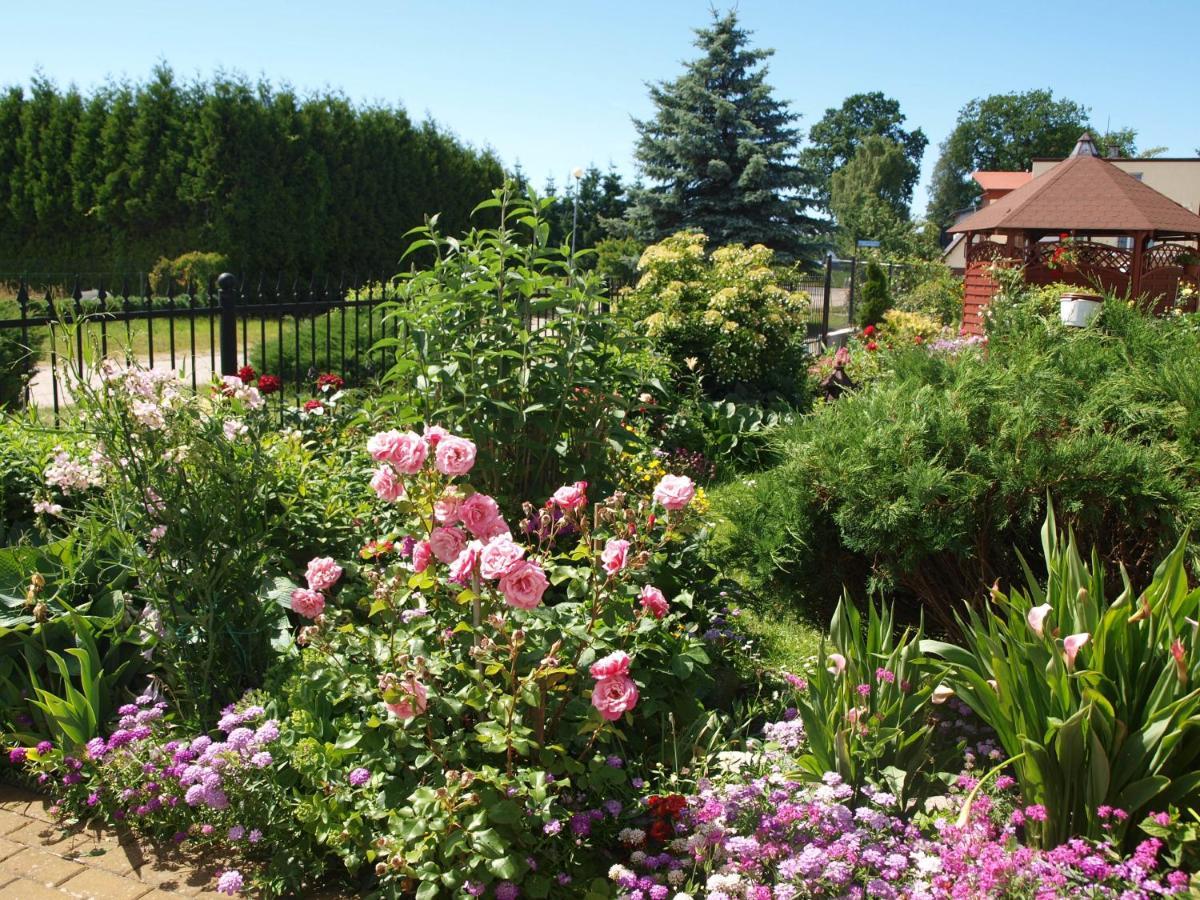 Bajka Bed & Breakfast Dąbki Dış mekan fotoğraf